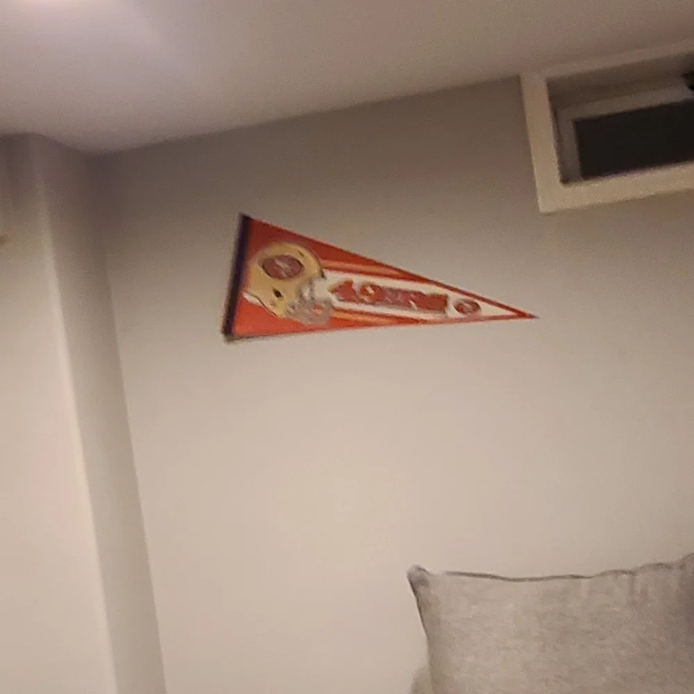 49ers Decor